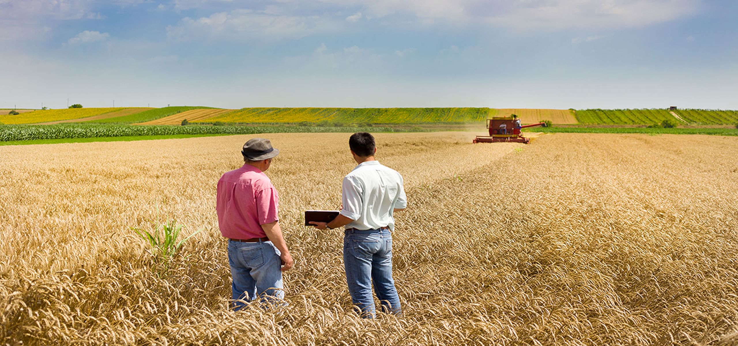 Plan-it Land Development -Town and Regional Planners - Consolidation